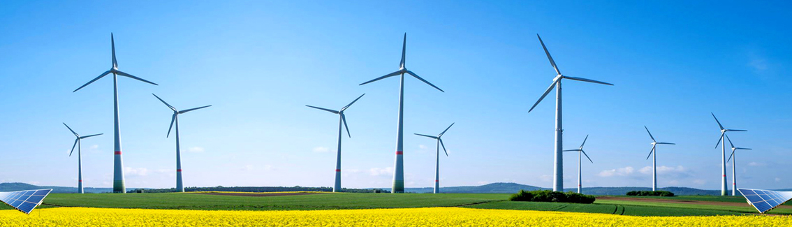 Renewable Energy & Energy Efficiency